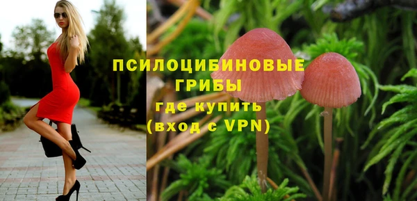 гидра Армянск